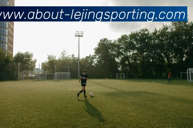 乐竞体育平台生态图