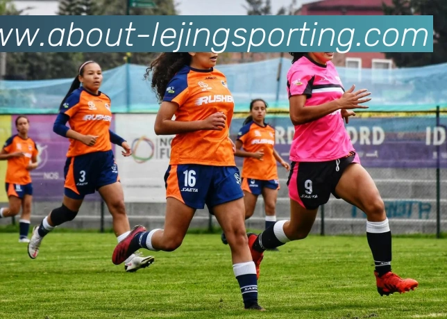 辅助工具 辅助工具